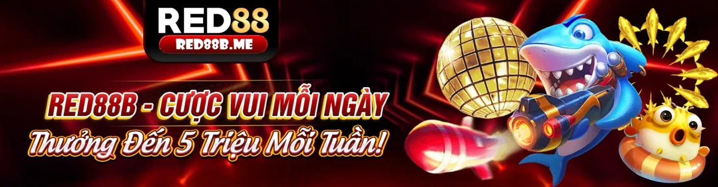 Hình ảnh đại dương rực rỡ với các loại cá và hiệu ứng kwin khuyến mãi